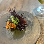 DA FIORE  - 蝦夷鹿のグリル