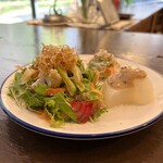 SPRING FIELD - 有機蔬菜沙拉