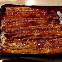 うなぎ 目白ぞろ芽 - 
