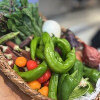 Chez Tetsu - 新鮮野菜