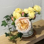 江戸そば マルノ - 内観