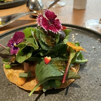 ENEKO Tokyo - 