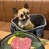 焼肉 かける