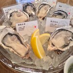 オストレア oysterbar&restaurant - 左下から時計周りにいただきます。