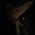 完全個室鮨和食かなうS - 