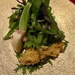 成生 - ドウマン蟹とカツオのサラダ