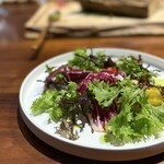 松本十帖 松本本箱 - 