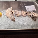 オストレア oysterbar&restaurant - 3Lサイズの牡蠣。カウンターにさまざまな牡蠣が並んでいます