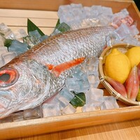 のどぐろ専門 銀座 中俣 - 
