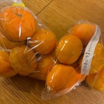 土佐の百姓家 - 