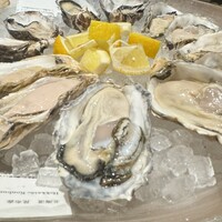 Oysterbar&Wine BELON 渋谷店 - 