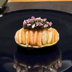 イル アオヤマ - 