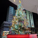 鮨楽こもり - クリスマスツリー　季節です(笑)