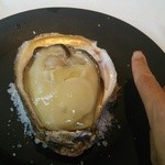 ウシマル - ほら、こんなに大きい(゜ロ゜;