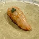 うを徳 - 牡丹海老