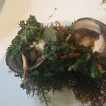 ウシマル - シッタカの貝殻には海藻がビッシリ着いていました。