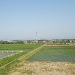 ウシマル - 松尾駅よりウシマルの方角を臨む。