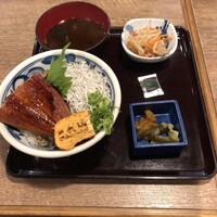 魚料理 ふじい - 