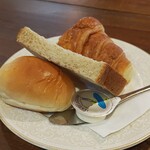 オレンジツリー - 