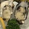 OysterBar OISSU - 