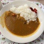 篠山チルドレンズミュージアム - 料理写真:牛スジカレー