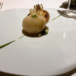 レフェルヴェソンス - 