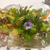 レフェルヴェソンス - 