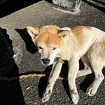 串焼き BUBU-TON - はい。こんにちは