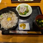 ちりめん・しらす専門店 凪 - 釜揚げしらす丼