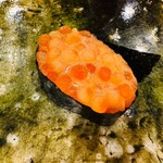 鮨桂太 - イクラ