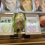 젤라테리아 후룻티