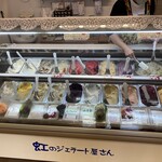 젤라테리아 후룻티