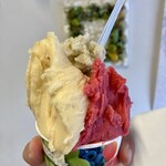 젤라테리아 후룻티