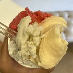 젤라테리아 후룻티