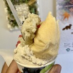 젤라테리아 후룻티