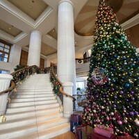 シースケープ テラス・ダイニング -  シースケープ テラス・ダイニング -