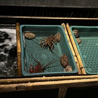 いせもん本店 - 