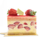 アシッドラシーヌ - フレジエの断面 '14 5月中旬