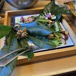 ポールスター - 