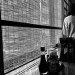 ぽん多本家 - 内観