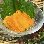 北海道の旬味 南3西4 うにとかにといくら - 