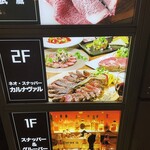 NEO‐SNAPPER　CARNAVAL - 