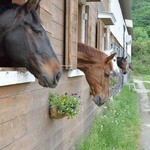 ラ・スタッラ - Datum：2014/05/16