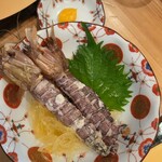 孝し - しゃこ酢