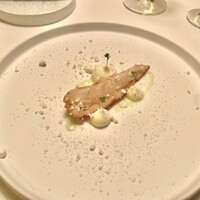Plaiga TOKYO - 