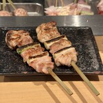 炭火串焼ヒヨク之トリ - 