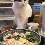 カツコフ戦車長 - 