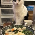 カツコフ戦車長 - 