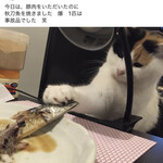 カツコフ戦車長 - 