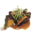 カントニーズ 燕 - 